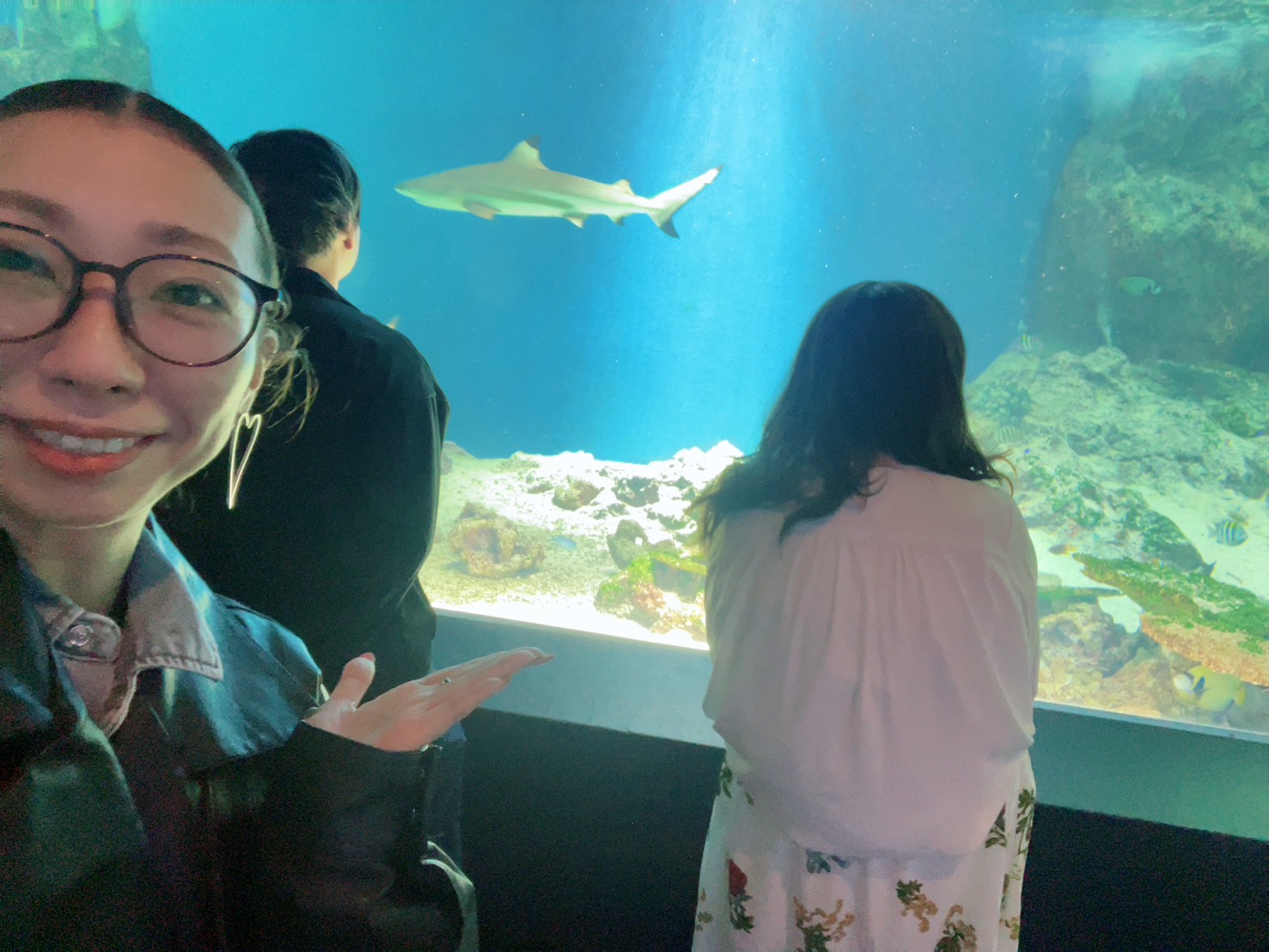 水族館最高♡ 水族館最高♡
